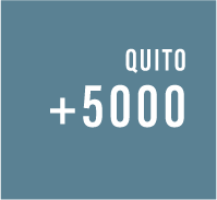 +5000-ustaylp