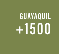 +1500-ustaylp